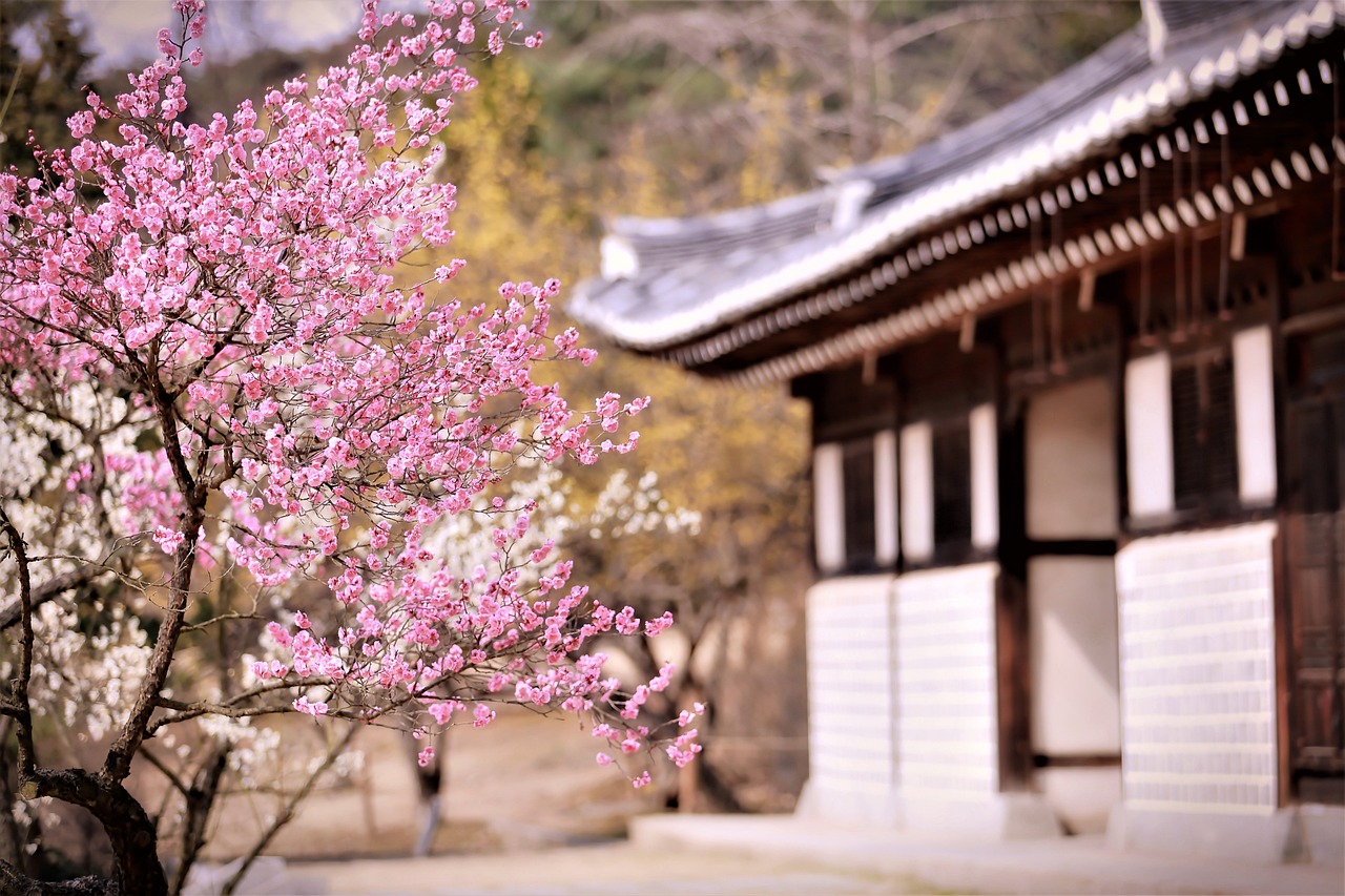 梅花集團股吧深度解析，背景、現(xiàn)狀與未來展望探究